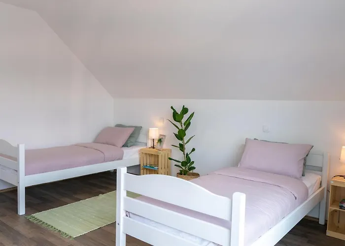 Cerknisko Jezero * Cerknica